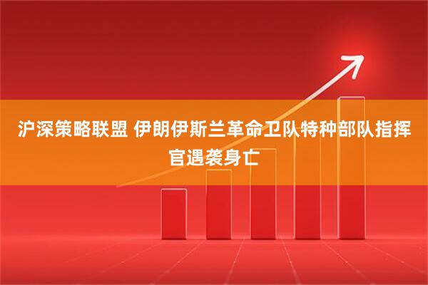 沪深策略联盟 伊朗伊斯兰革命卫队特种部队指挥官遇袭身亡