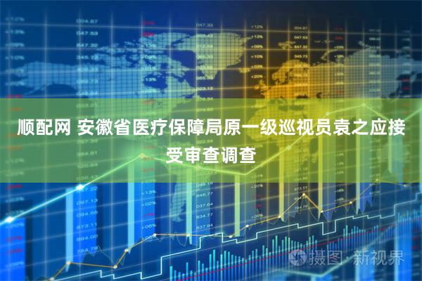 顺配网 安徽省医疗保障局原一级巡视员袁之应接受审查调查